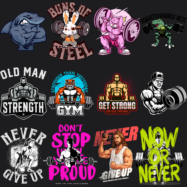 Pack Gym Premium