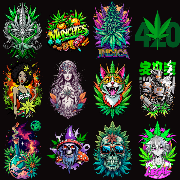 Pack Premium High Style