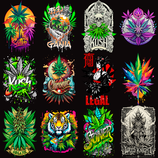 Pack Premium High Style