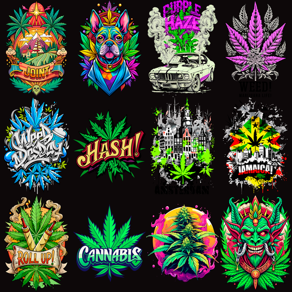Pack Premium High Style