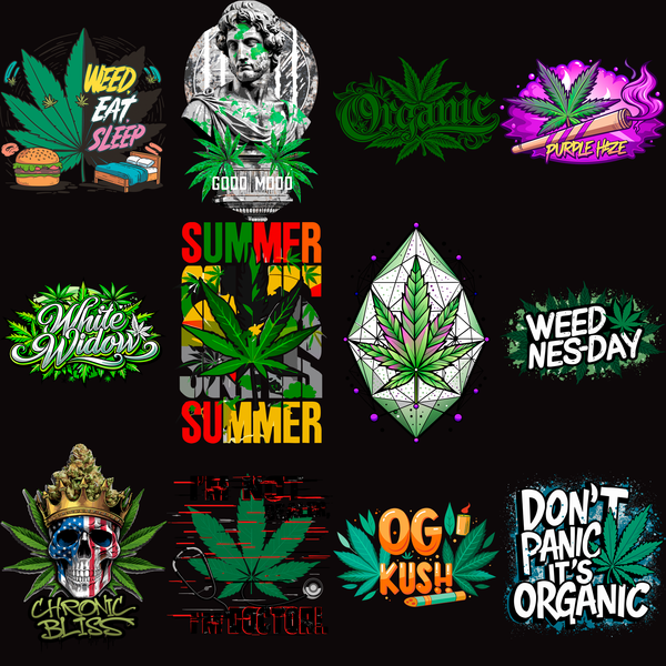 Pack Premium High Style