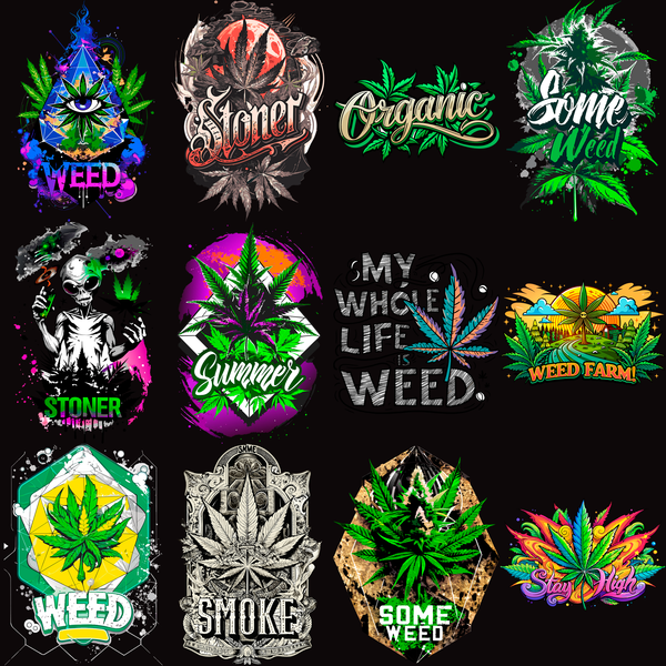 Pack Premium High Style