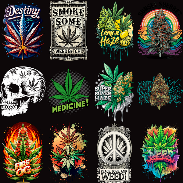 Pack Premium High Style