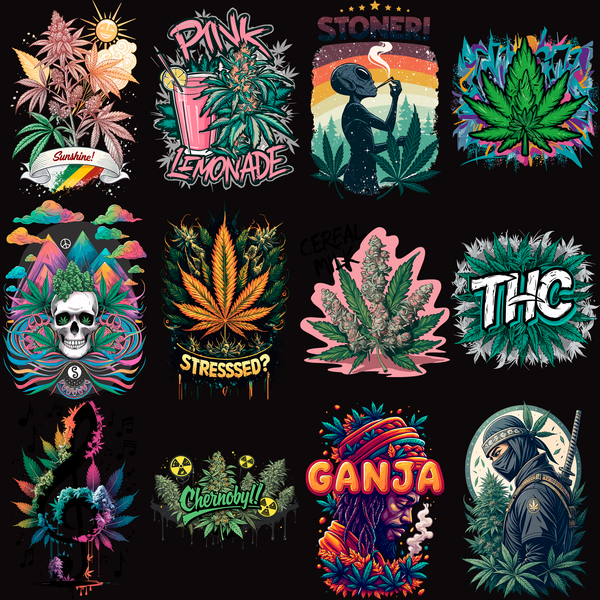 Pack Premium High Style