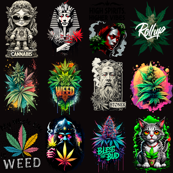Pack Premium High Style