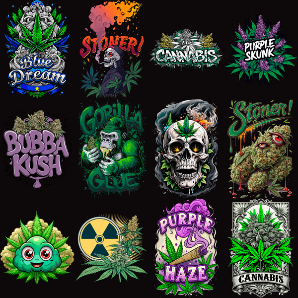 Pack Premium High Style